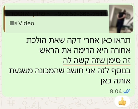 פידבק 17