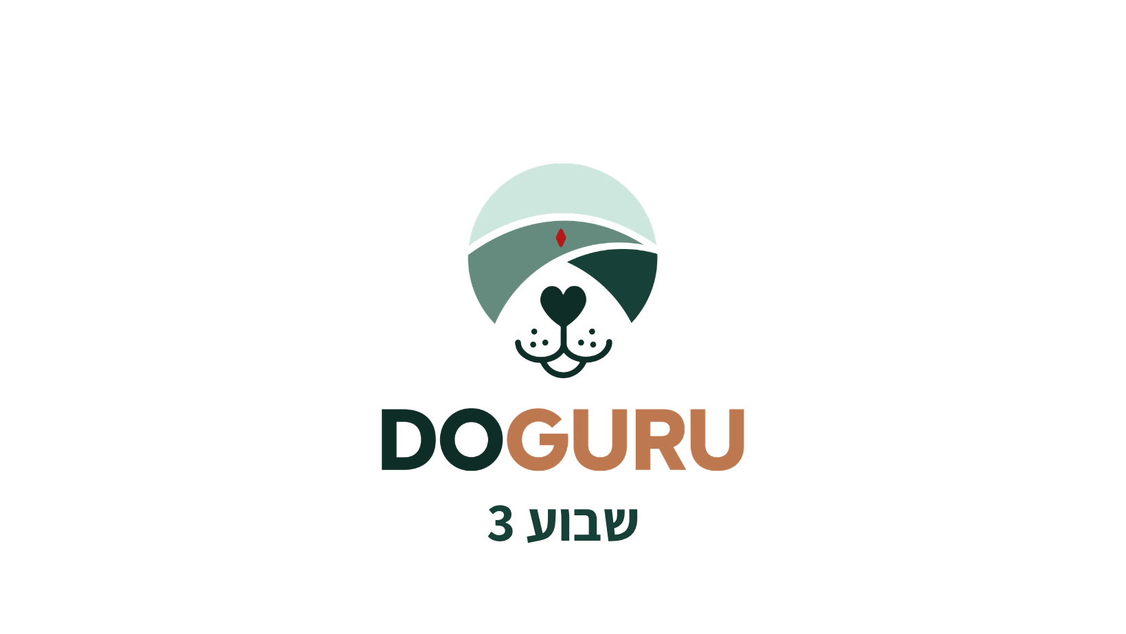 שבוע 3